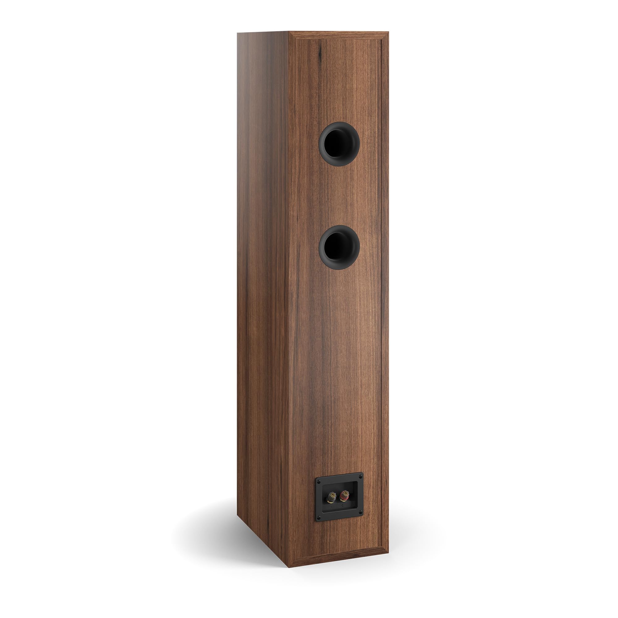 Amazon.com: DALI Spektor 6 Floorstanding Hi-Fi Speaker – Dark